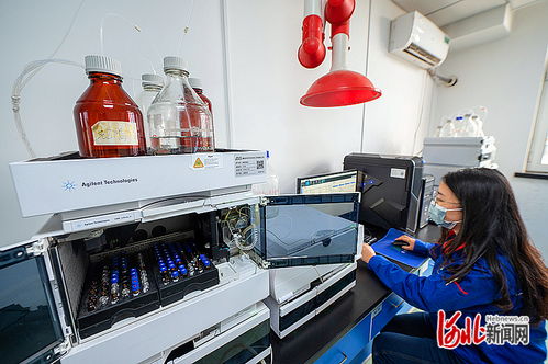 秦皇島 以科技創新為引擎，打造知識產權強市典范