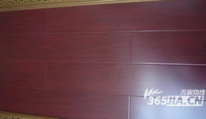 建材直通車再度發(fā)力，華東建材城精品特價(jià)大放送引領(lǐng)消費(fèi)新熱潮